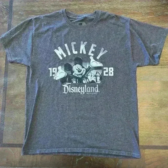 Disney Parks Mickey Mouse T-Shirt Men’s Size Medium Gray Distressed Graphic Logo - Picture 1 of 3